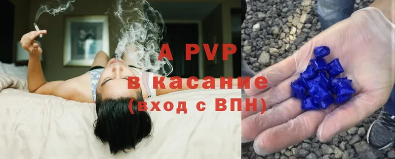 A PVP СК КРИС  Куйбышев 